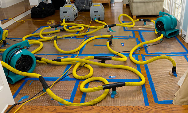 Professional Storm Water Damage Restoration technician working in Columbia, TN